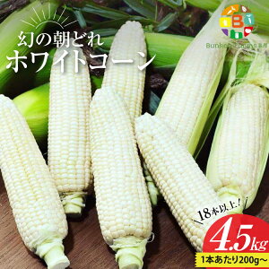 yӂ邳Ɣ[ŁzBG036 yߘa8Nxoוz6{oׁI ̒ǂ zCgR[ 200gȏ×18{ȏ 4.5kg `SI̗ Y`