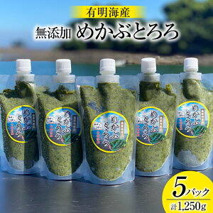 【ふるさと納税】 AE140 有明海産 無添加めかぶとろろ(250g×5パック) レビューキャンペーン