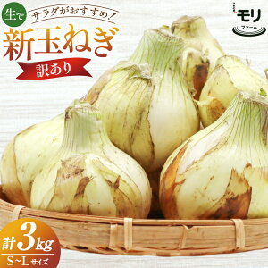 yӂ邳Ɣ[Łz AJ113 y󂠂z N̗ t@[ Vʂ˂ 3kg s (S`LTCY) [ V܂˂ V ʂ˂ ܂˂ ^}lM ʂ˂ T_  ӂ낢 A X