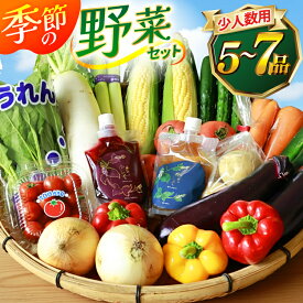 【ふるさと納税】 AJ313 野菜セット 5〜7品目 しそジュース付き [ 野菜 詰め合わせ 少人数用 一人暮らし 二人暮らし シソジュース 紫蘇ジュース 長崎県 島原市 ]