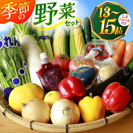 【ふるさと納税】 AJ315 季節の野菜・果物セット 13～15品 しそジュース付き [ 野菜 詰合せ 長崎県 島原市 ]