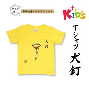 yӂ邳Ɣ[Łz AJ448 S 邠KidsTVciBj [ S S  Rbg 100% ǂ 100 110 130 eqR[f 낢 茧 s ]