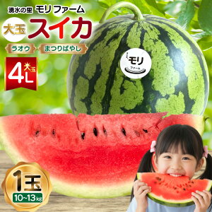 �y�ӂ邳�Ɣ[�Łz AJ456 �y�ߘa8�N�x�o�ו��z �N���̗� �����t�@�[�� ��ʃX�C�J ���I�E �܂�΂₵ 4L 10�`13kg 1�� [ ��s�\�� ���ʌ��� ������ �X�C�J ���Z �t���[�c �ʕ� ���� ���茧 �����s