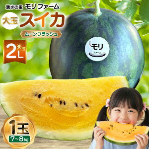 �y�ӂ邳�Ɣ[�Łz AJ457 �y�ߘa8�N�x�o�ו��z �N���̗� �����t�@�[�� ��ʃX�C�J ���[���t���b�V�� 2L 7�`8kg 1�� [ ��s�\�� ���ʌ��� ������ �X�C�J ���Z �t���[�c �ʕ� ���� ���茧 �����s ]