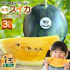 yӂ邳Ɣ[Łz AJ458 yߘa8Nxoוz N̗ t@[ ʃXCJ [tbV 3L 8`10kg 1 [ s\ ʌ  XCJ Z t[c ʕ  茧 s ]