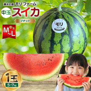 yӂ邳Ɣ[Łz AJ459 yߘa8Nxoוz N̗ t@[ ʃXCJ v`bg M`L 5`7kg 1 [ s\ ʌ  XCJ Z t[c ʕ  茧 s ]