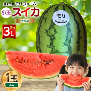 yӂ邳Ɣ[Łz AJ460 yߘa8Nxoוz N̗ t@[ ʃXCJ V 3L 4kg 1 [ s\ ʌ  V XCJ Z t[c ʕ  茧 s ]