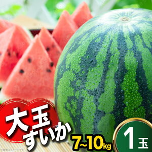 �y�ӂ邳�Ɣ[�Łz AJ634 �y�ߘa8�N�x�o�ו��z �܂邫�_�� ��ʃX�C�J 2L�`3L�T�C�Y�i7�`10kg�j[ �X�C�J ������ ���Z ��� �傫�� 2L 3L �܂邫�_�� ���茧 �����s]