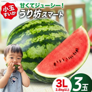 �y�ӂ邳�Ɣ[�Łz AJ637 �y�ߘa8�N�x�o�ו��z �܂邫�_�� ����V�X�}�[�g 3L�T�C�Y(2.8kg�ȏ�) 3�� [ �X�C�J ������ ���Z ���� ���ʃX�C�J ����V �E���V ����ڂ� �E���{�[ �܂邫�_�� ���茧 ��