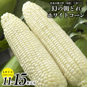 yӂ邳Ɣ[Łz BE277 yߘa8Nxoוz6{oׁI ̒ǂ zCgR[ Lȏ×11`15{Zbg 4.5kg `SI̗ Y`