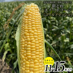 yӂ邳Ɣ[Łz BE279 yߘa8Nxoוz5{oׁI ǂ XC[gR[ L×11`15{Zbg (4.5kg) `SI̗ Y`