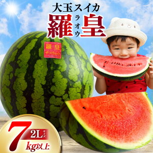 �y�ӂ邳�Ɣ[�Łz �y���s���Y����ɂ��Љ�������܂����y�ߘa8�N�x�o�ו��z��i�I��ʃX�C�J�`���c�i���I�E�j�`�i7�`10kg�j[��s�\�� ���ʌ��� ������ �X�C�J ���Z �炨�� ���� �t���[�c 