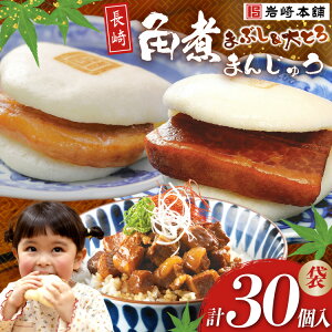 【ふるさと納税】 FG002 岩崎本舗 長崎角煮まんじゅう 10個入 (袋)・大とろ角煮まんじゅう 10個入 (袋)・角煮まぶし 10袋