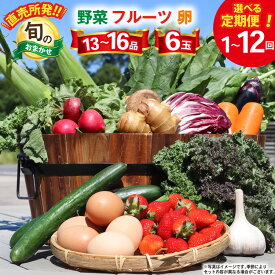【ふるさと納税】 野菜 フルーツ 卵 旬のおまかせ セット (野菜・フルーツ13〜16品目、卵6玉) [ 野菜セット 定期便 3回 6回 12回 果物 たまご 鶏卵 産地直送 厳選 長崎県 島原市 422037021] レビューキャンペーン
