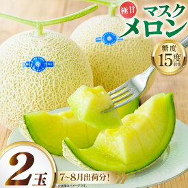 【ふるさと納税】 AJ651 【令和8年7-8月出荷分】 堀農園 マスクメロン 2玉 [ メロン めろん 青肉メロン 黄緑 果物 フルーツ おいしい 甘い 堀農園 長崎県 島原市 ] お中元 夏ギフト