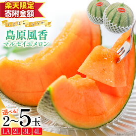 【ふるさと納税】メロン【令和9年度出荷分】マルセイユメロン 〜島原風香〜 3Lサイズ × 2玉 【楽天限定寄附額 9,000円】 [ メロン 赤肉 果物 くだもの フルーツ 産地直送 舞岳の里 長崎県 島原市 422037023]
