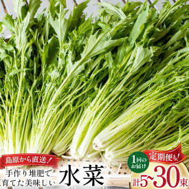 【ふるさと納税】 水菜 野菜 選べる 内容量 発送回数 定期便 [みずな ミズナ やさい 常備 緑黄色野菜 冷蔵 葉物野菜 栄養 健康 便利 炒め物 おひたし サラダ 鍋 新鮮 シャキシャキ 産地直送 田中農園 長崎県 島原市 422037064]