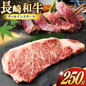 【ふるさと納税】 AK023 長崎和牛 サーロイン ステーキ 250g [ 牛肉 肉 和牛 ステーキ ロース サーロインステーキ BBQ バーベキュー 焼肉 アウトドア 長崎県 島原市 ]