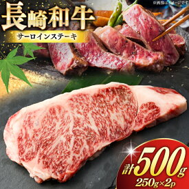 【ふるさと納税】 AK024 長崎和牛 サーロイン ステーキ 250g 2パック 計500g [ 牛肉 肉 和牛 ステーキ ロース サーロインステーキ BBQ バーベキュー 焼肉 アウトドア 長崎県 島原市 ]