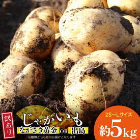 【ふるさと納税】 BH050 じゃがいも 訳あり ながさき黄金 出島 約5kg [ 野菜 訳アリ 芋 ジャガイモ 5キロ ほくほく 先行予約 常備野菜 国産 贅沢宝庫 長崎県 島原市 ]