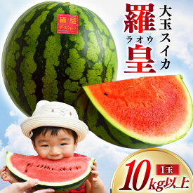 【ふるさと納税】 BG060【令和9年度出荷分】超特大！大玉スイカ～羅皇（ラオウ）～（10kg以上）[先行予約 数量限定 すいか スイカ 西瓜 フルーツ 果物 大玉 長崎 長崎県 島原市] ◎