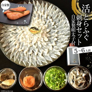 ふるさと納税 ふぐ 刺身 魚の人気商品 通販 価格比較 価格 Com ふるさと納税 ふぐ 刺身 魚の人気商品 通販 価格比較 価格 Com