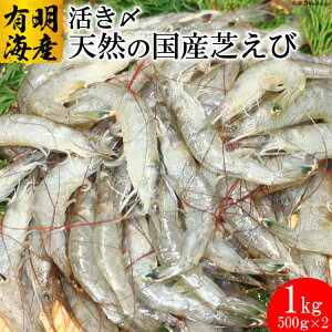 yӂ邳Ɣ[Łz CD190 LCY Y VRGr 1kgi500g×2pbNjyŊCV VoGr ΂ AJqQ B 茧 s LCY Ⓚ hg ܂щ N}Gr ԃGr 