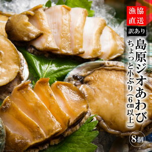 yӂ邳Ɣ[Łz y󂠂zIWI 8iƏԂF6cmȏj y  Ar 󂠂 ① LC 茧 sz