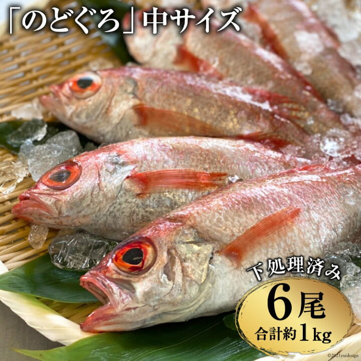 楽天市場 ふるさと納税 のどぐろ 中サイズ 160 180g 6尾 煮付け 塩焼き用 アカムツ 下処理済み 魚介 魚 長崎県 島原市 送料無料 長崎県島原市