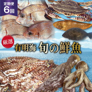 【ふるさと納税】 BG065【定期便】有明海 旬の鮮魚 漁協おすすめ 海の幸定期便 計6回