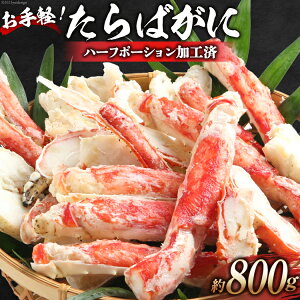 yӂ邳Ɣ[Łz GD164 yI΂ 800gin[t|[VHρj[ ӂ邳Ɣ[ 茧 s CN Jj   I c I n[t|[V ނg ] r[L