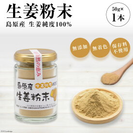 【ふるさと納税】 島原産 生姜純度100% 生姜粉末 1本 【無添加 無着色 保存料不使用】