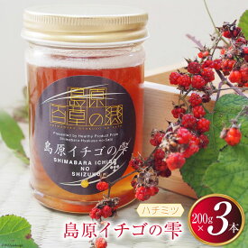 【ふるさと納税】 AG123島原イチゴの雫 200g×3本