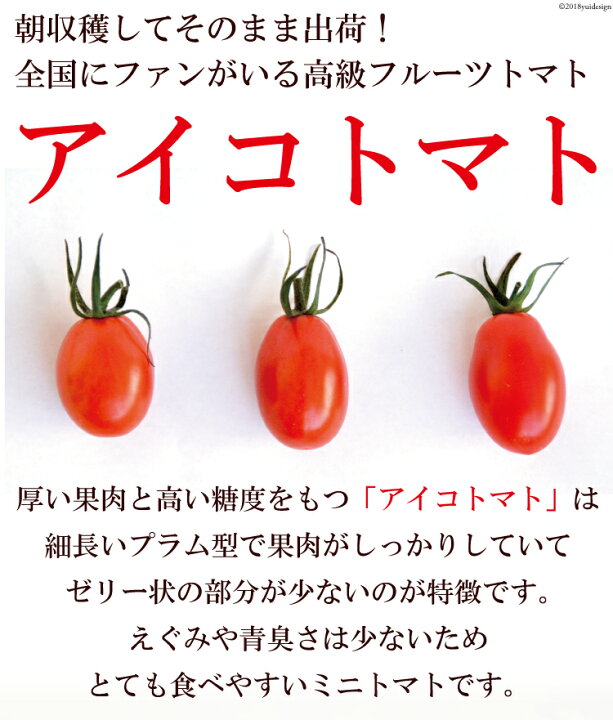 楽天市場 ふるさと納税 ミニトマト アイコ 3kg 全国にファンがいる高級フルーツトマトどっさり フルーツトマト ミニトマト アイコトマト アイコ ３キロ 3kg プラム型 リコピン2倍 島原湧水 島原 山口農園 長崎県島原市