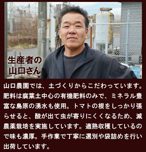 トマト
