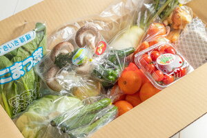 旬のお任せセット