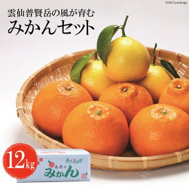 楽天市場 国産 オレンジ 旬の通販
