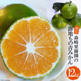 【ふるさと納税】 DD001 【令和8年9月下旬から順次発送】森崎果樹園の露地もの青みかん（12kg）[みかん ミカン オレンジ 果物 くだもの フルーツ 酸味 露地もの 青もの 長崎県 島原市]