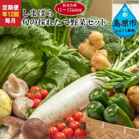 楽天市場 ランキング 野菜セットの通販