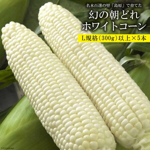 yӂ邳Ɣ[Łz BE278 6{oׁIu̒ǂzCgR[Iv LTCYȏ×5{ `SI̗ Y`