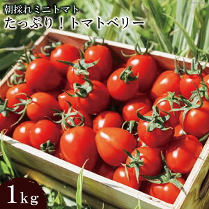 �y�ӂ邳�Ɣ[�Łz AF015 ���̂�~�j�g�}�g �g�}�g�x���[ �����Ղ�I1kg [�g�}�g �~�j�g�}�g 1�L�� �R���_�� ���茧 �����s]