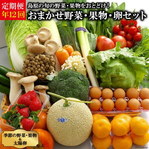 春 果物 食品の人気商品 通販 価格比較 価格 Com