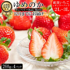 楽天市場 長崎県島原市 いちご 食品 の通販