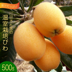 yӂ邳Ɣ[Łz AF220yߘa8Nxoוzʏ`ՂIcƂ͔̉|т 500g [т r t[c ʕ 茧 s]