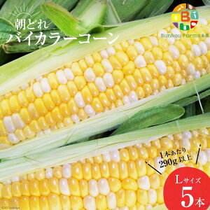 yӂ邳Ɣ[Łz AG033@yߘa8Nxoוz5oׁIuǂoCJ[R[IvL×5{Zbg [ Bunkou Farms   茧 s AG033 ]