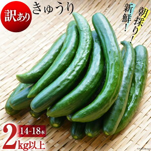 yӂ邳Ɣ[Łz yߘa7Nxoוzy󂠂zVN ̂肫イ 2kgȏ