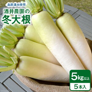 yӂ邳Ɣ[Łz AG081 _̓~卪 5kgȏi5{j