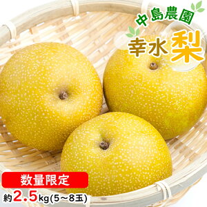yӂ邳Ɣ[Łz BH004 yߘa8Nxoוzyʌz K 2.5kgi5ʁ`8ʁj[VN _ƒ Ă̖o ґ t[c]