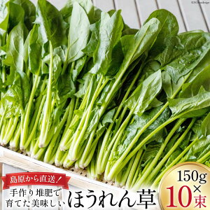 yӂ邳Ɣ[Łz yBH010zق 150g×10