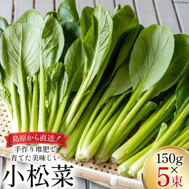 【ふるさと納税】【BH012】小松菜 150g×5束